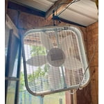 Image 6 of customer photos