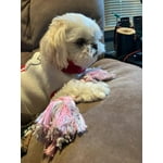 Image 4 of customer photos