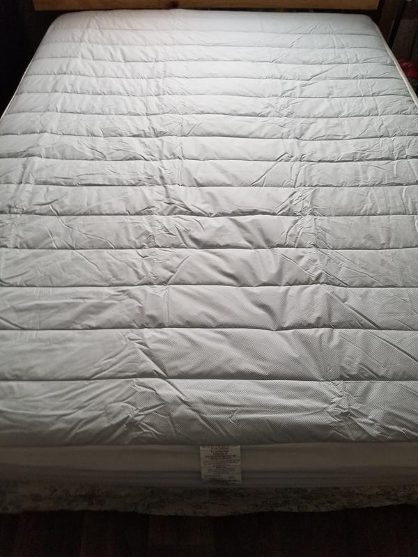 sealy elite cool touch mattress protector