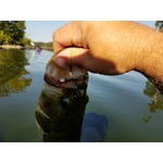 Image 7 of customer photos