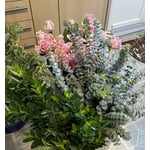 Image 4 of customer photos