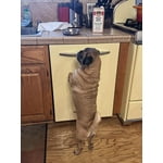 Image 4 of customer photos