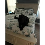 Image 2 of customer photos