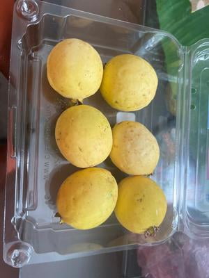 Fresh Produce Guava 1 lb Clamshell Fresh Tropical Fruit High in