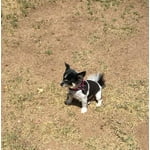 Image 4 of customer photos