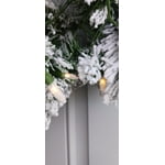 Image 6 of customer photos