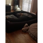 Image 2 of customer photos