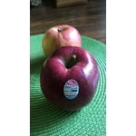 Image 6 of customer photos