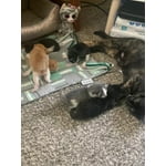 Image 2 of customer photos