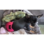 Image 4 of customer photos