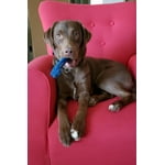 Image 6 of customer photos