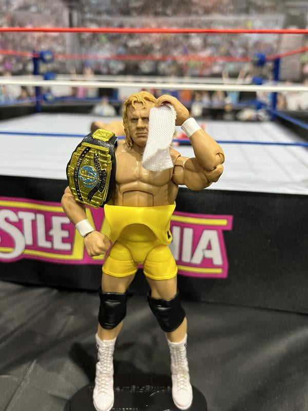 WWE Toy - Legends Series 20 Mr. Perfect Elite Collection