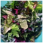 Image 6 of customer photos