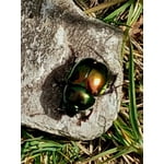 Imagen 9 de las fotos del cliente