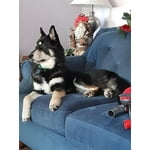 Image 7 of customer photos