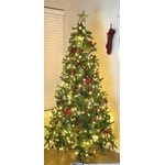 Image 6 of customer photos