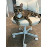 Image 3 of customer photos