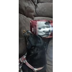 Image 6 of customer photos