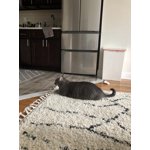 Image 5 of customer photos