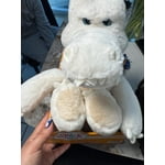 Image 5 of customer photos