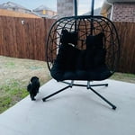 Image 3 of customer photos