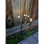 Image 6 of customer photos