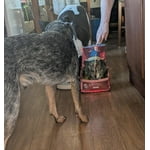 Image 4 of customer photos