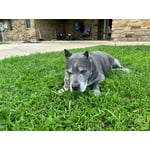 Image 5 of customer photos