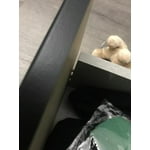 Image 7 of customer photos