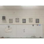 Image 5 of customer photos