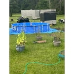 Image 3 of customer photos