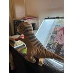 Image 1 of customer photos