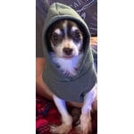 Image 2 of customer photos