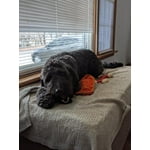 Image 3 of customer photos