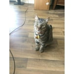 Image 5 of customer photos