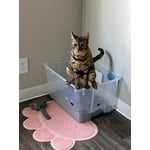 Image 7 of customer photos