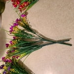 Image 5 of customer photos