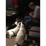 Image 2 of customer photos