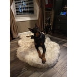 Image 2 of customer photos