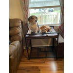 Image 2 of customer photos