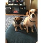 Image 1 of customer photos