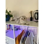 Image 3 of customer photos