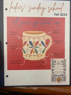 Cardinal ClearVue Lot De 4 Classeurs à 3 Anneaux, 3,8 Cm, Anneaux