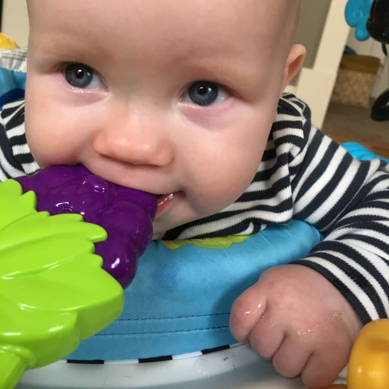 Style May Vary Infantino Vibrating Teether 