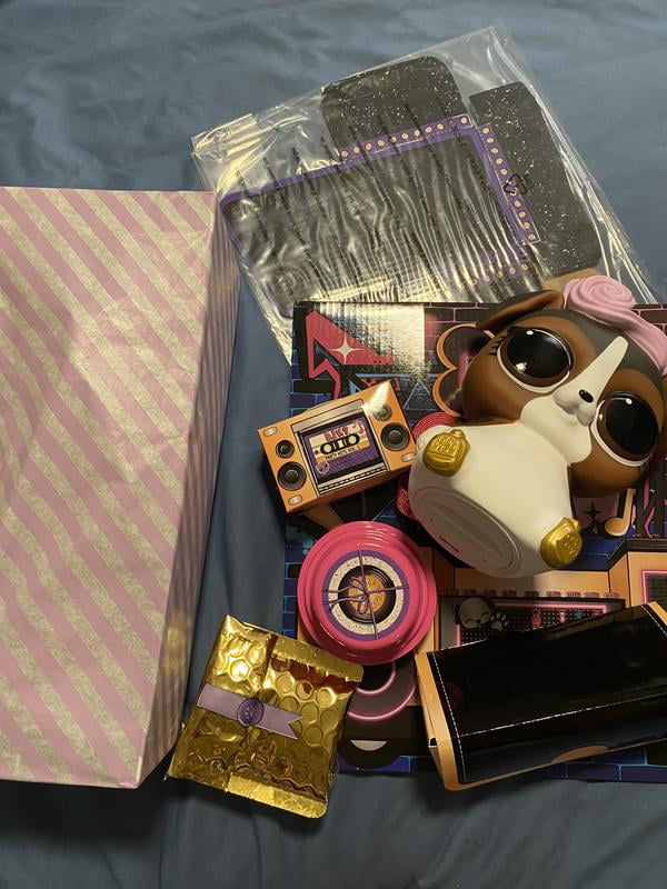 L.O.L Surprise! Big Pet DJ K.9. Doll Playset, 15 Pieces - Walmart.com