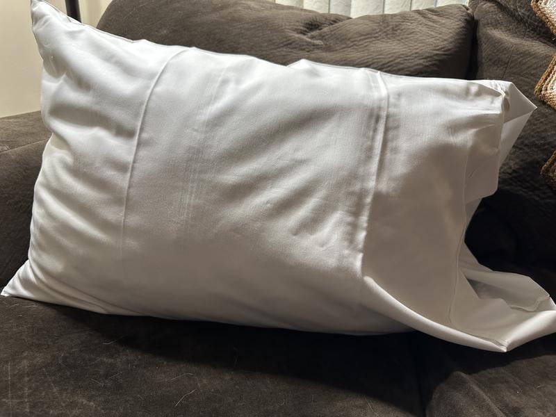 Bulk 12 Pack of Lulworth Pillowcases - Standard Size White 20