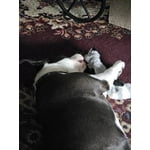 Image 6 of customer photos