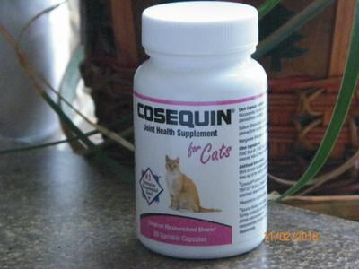 Nutramax Cosequin Maximum Strength Joint Health Supplement For Cats 80 Sprinkle Capsules Walmart Com Walmart Com Nutramax Cosequin Maximum Strength Joint Health Supplement For Cats 80 Sprinkle Capsules Walmart Com Walmart Com