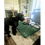 Image 4 of customer photos