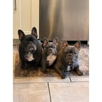 Image 1 of customer photos